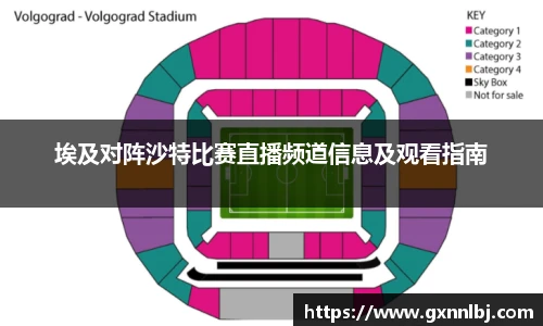 埃及对阵沙特比赛直播频道信息及观看指南